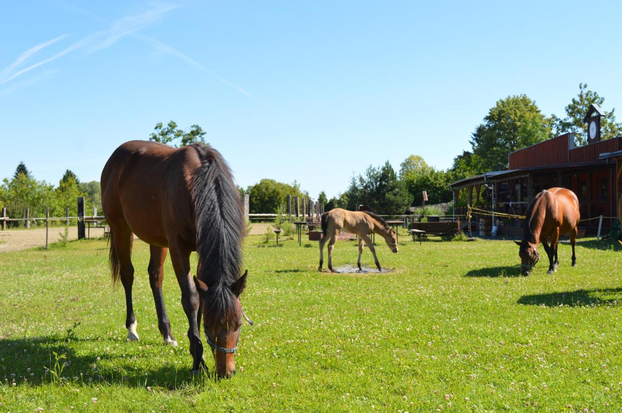 Bubla City Ranch Kopřivnice Exterior foto